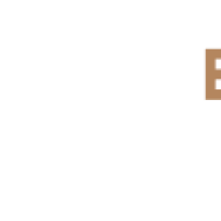 Kozminski Logo